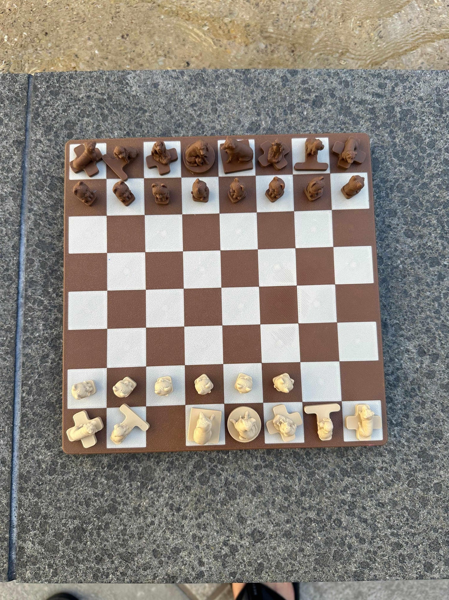 Dog Travel Chess