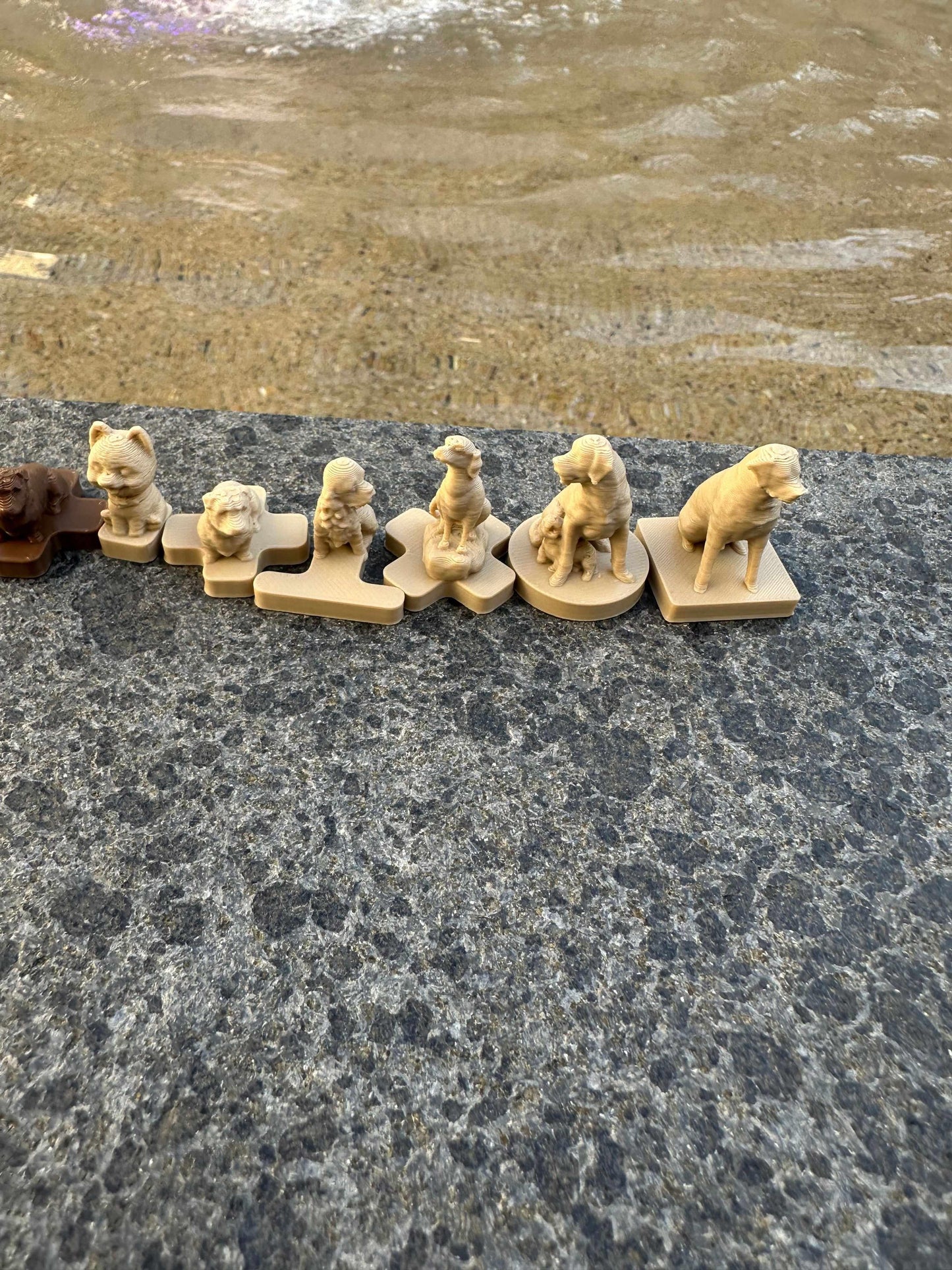 Dog Travel Chess